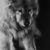 chow-chow-golden-retriever-x-red