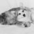 golden-retriever-corgi-martin-jeeves