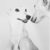 greyhounds-compe-chip