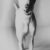 ibizan-hound-apo