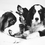 triumvirate