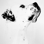 american-bulldog-itzen