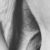 veins