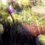 reflections-1