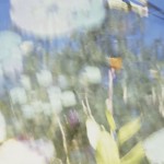 reflections-3