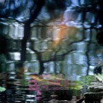 reflections-11