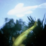 reflections-12