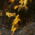 reflections-17